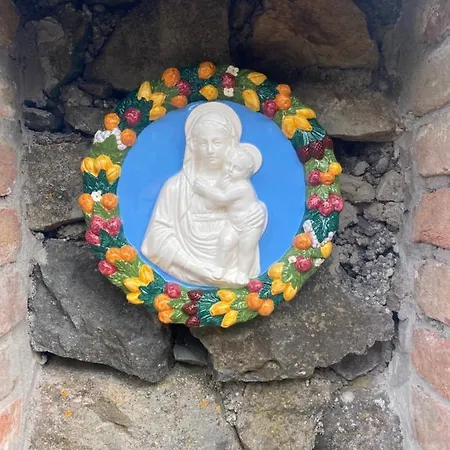 Flora Lavenda Zalahaláp