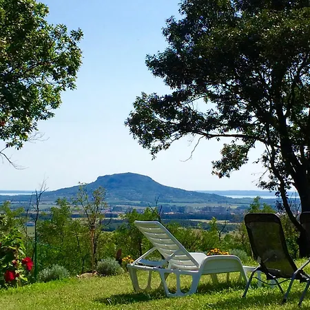 Flora Lavenda * Zalahaláp