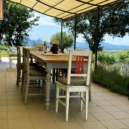 Flora Lavenda Zalahaláp