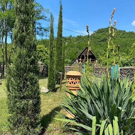 Flora Lavenda Zalahalap