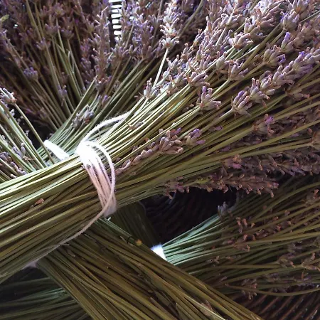 빌라 Flora Lavenda Zalahaláp