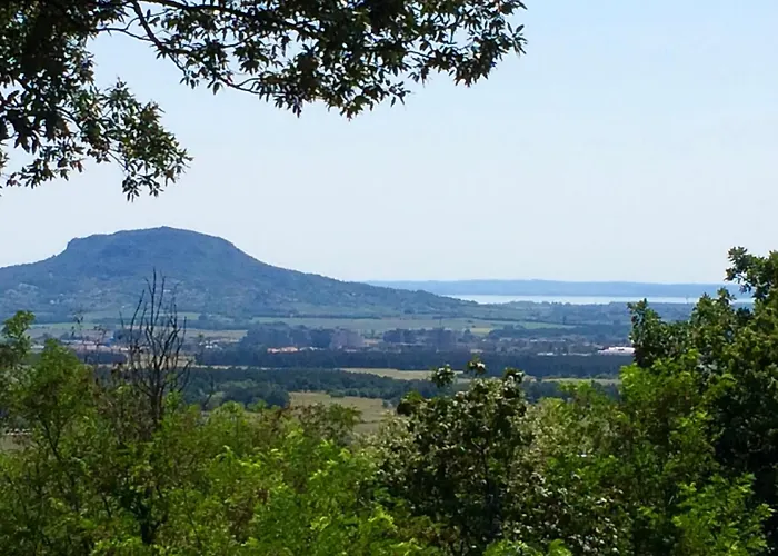 Willa Flora Lavenda *