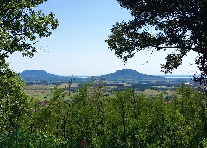 Flora Lavenda * Zalahaláp