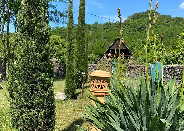 Flora Lavenda Zalahaláp