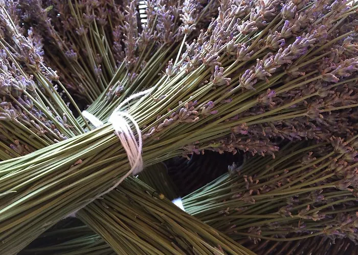 Villa Flora Lavenda Zalahalap